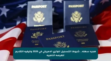 هجرة سهلة.. شروط التسجيل للوتري الأمريكي في 2026 وكيفية التقديم للفرصة الذهبية